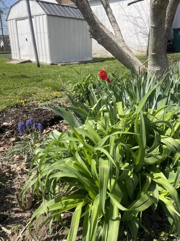 Cabool, MO 65689,1002 Ozark Avenue