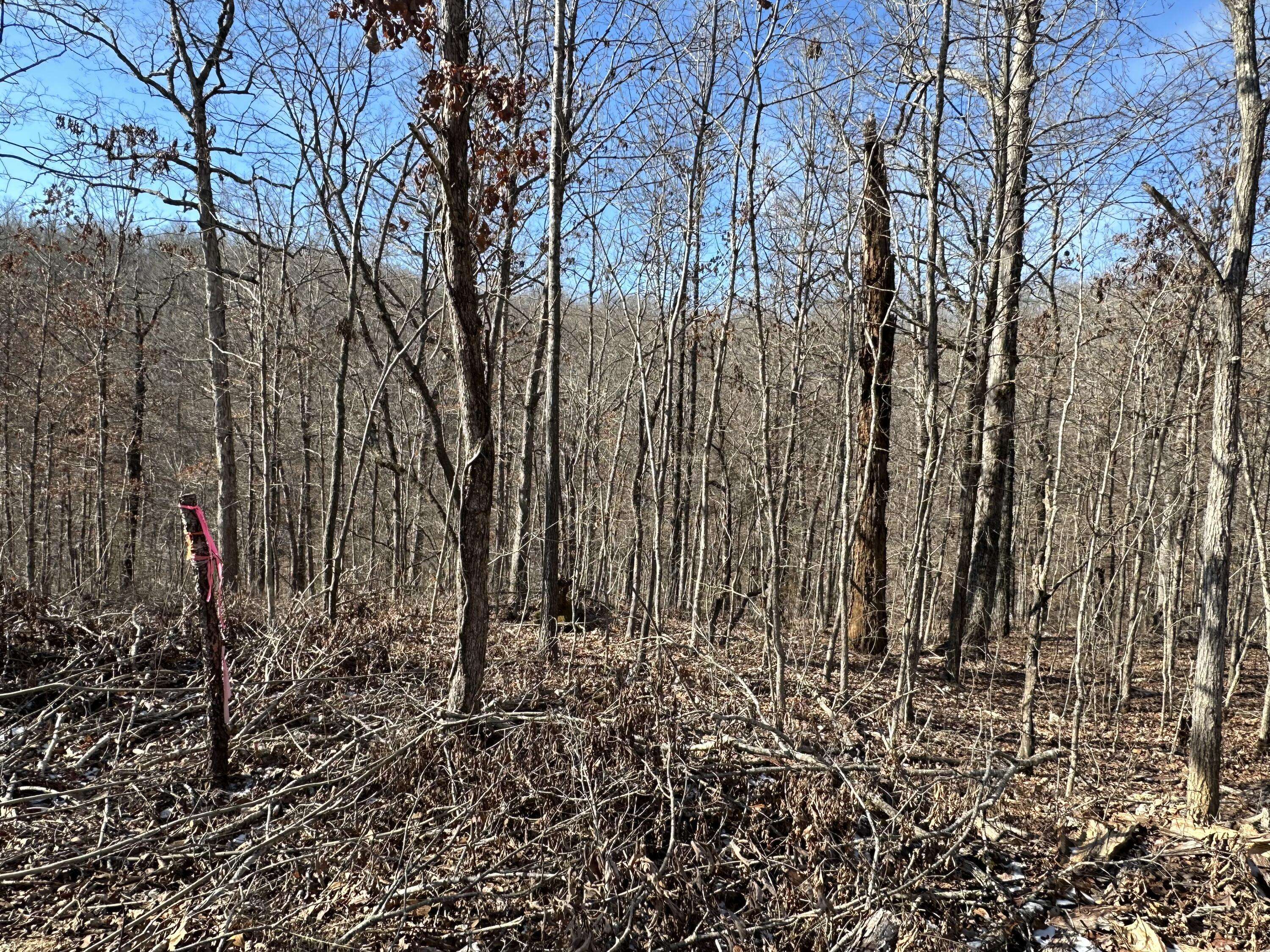 Mammoth Spring, AR 72554,000 Ridgehaven RD