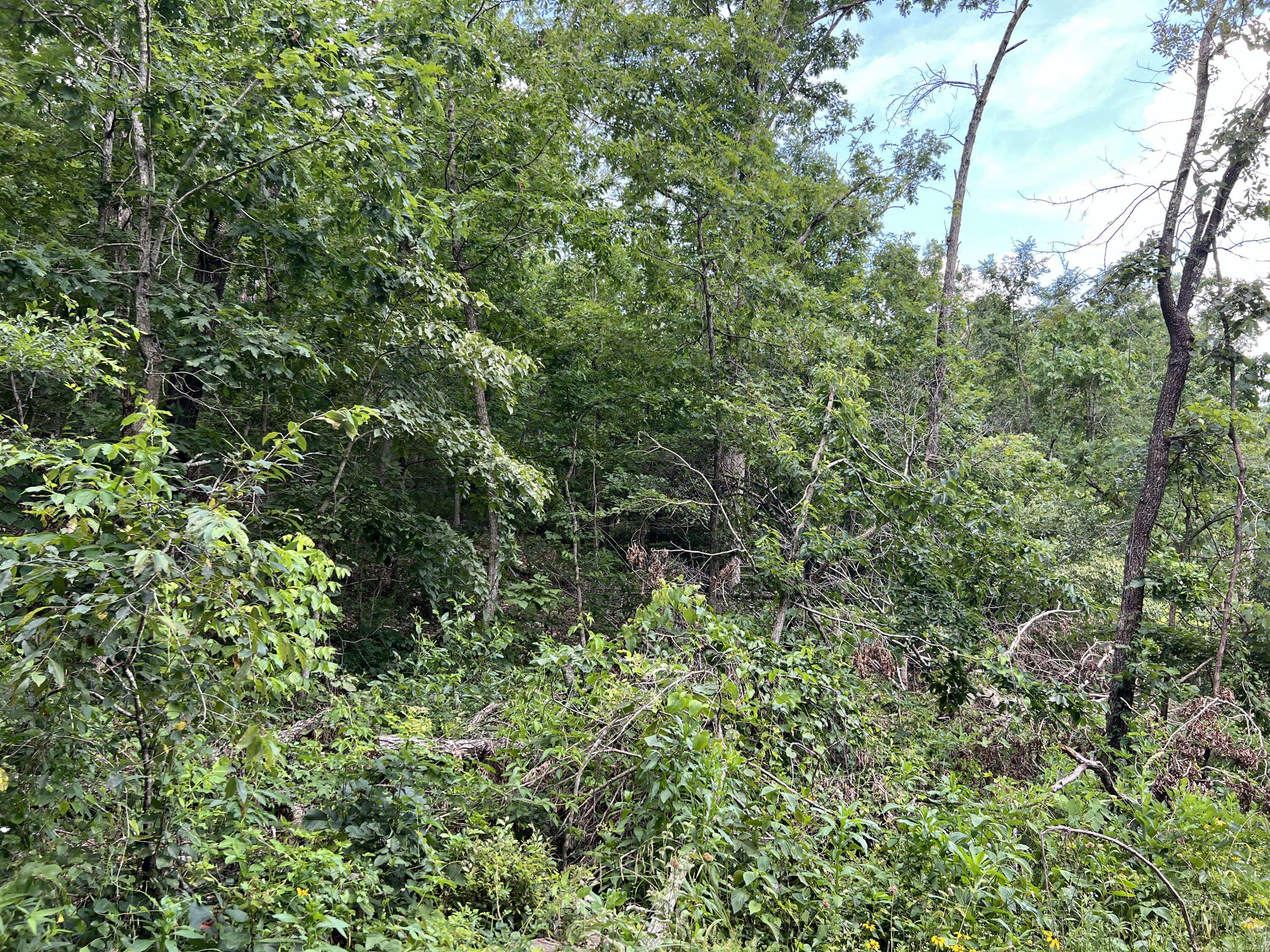 Mammoth Spring, MO 72554,Lot 45 Pr Ridge Haven