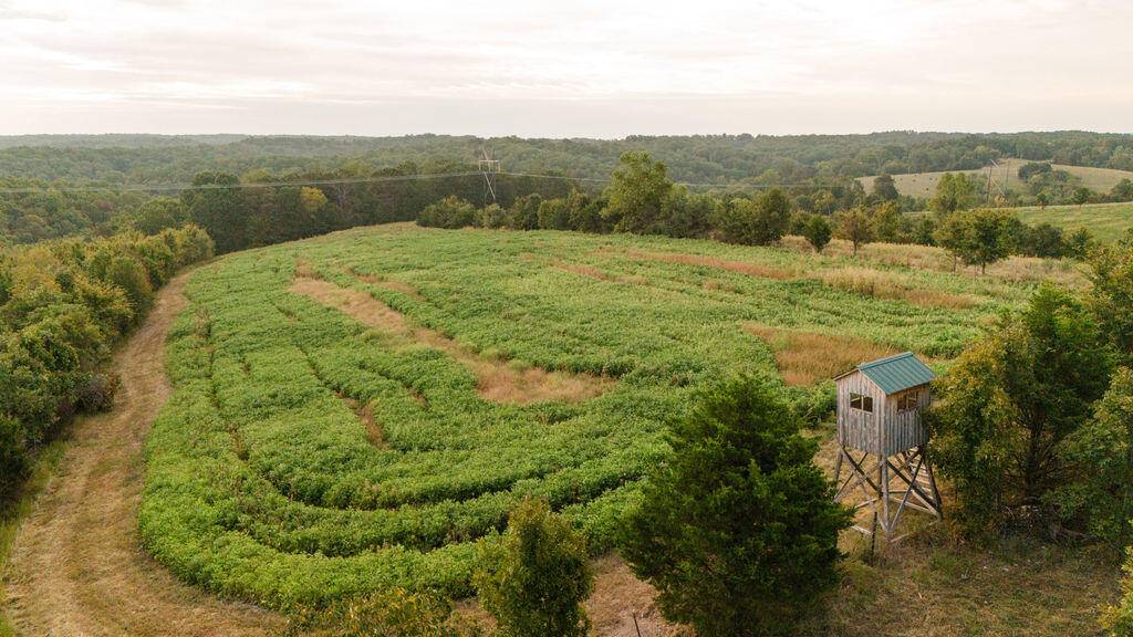 Noel, MO 64854,0000 Low Gap Road
