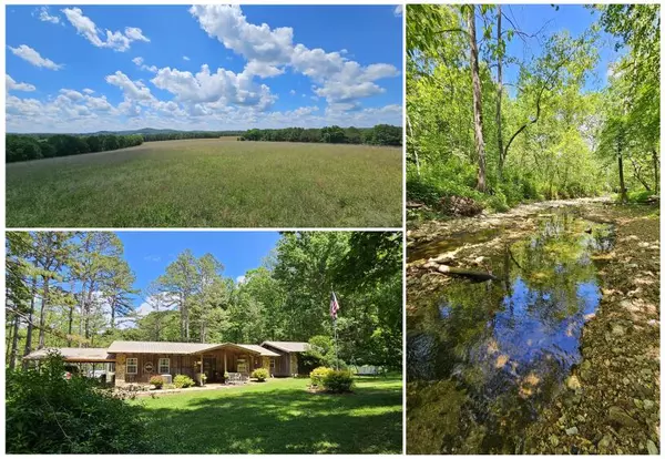 37286 County Road Ee-270, Vanzant, MO 65768
