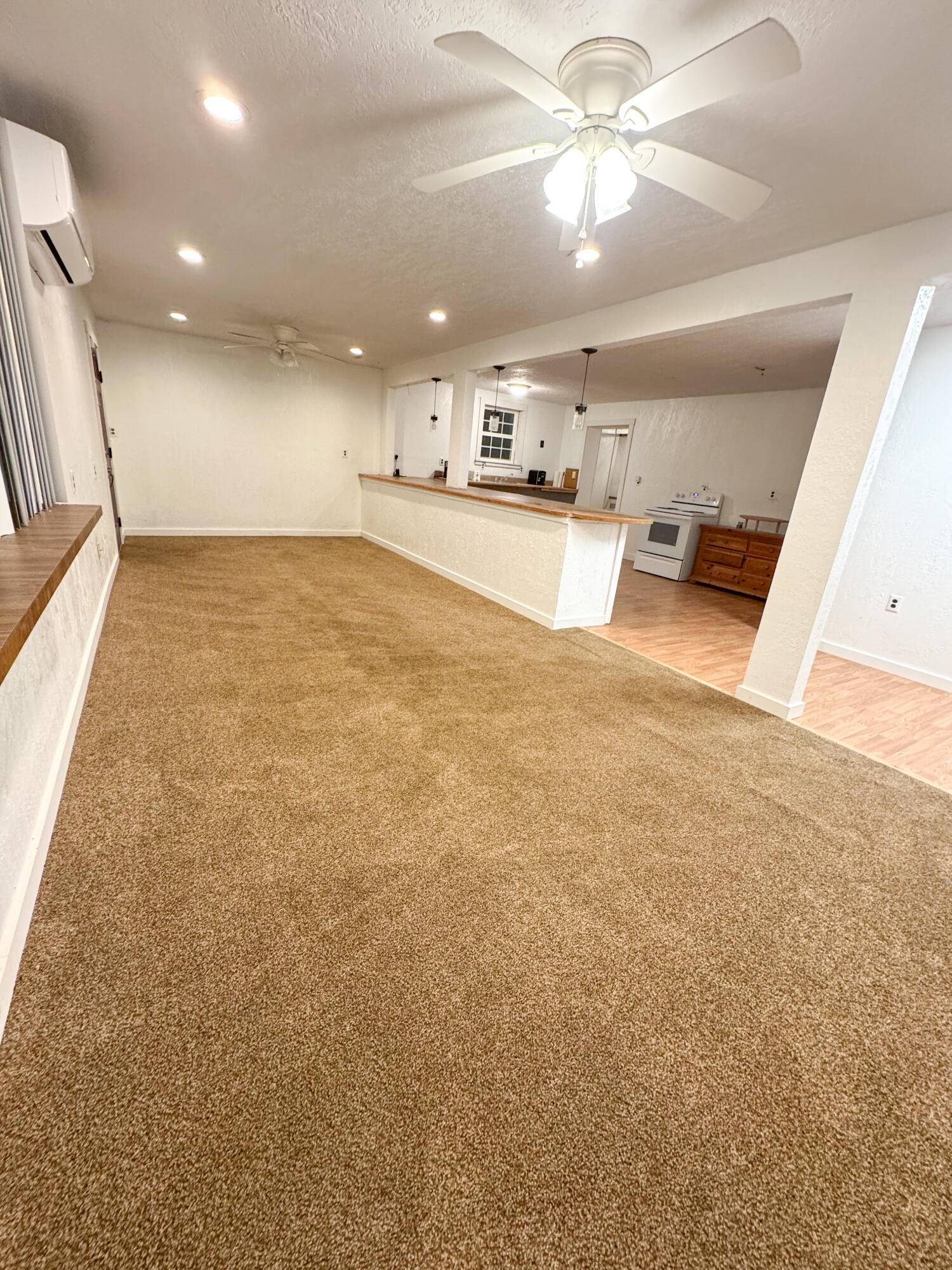 Walnut Grove, MO 65770,121 N Washington ST