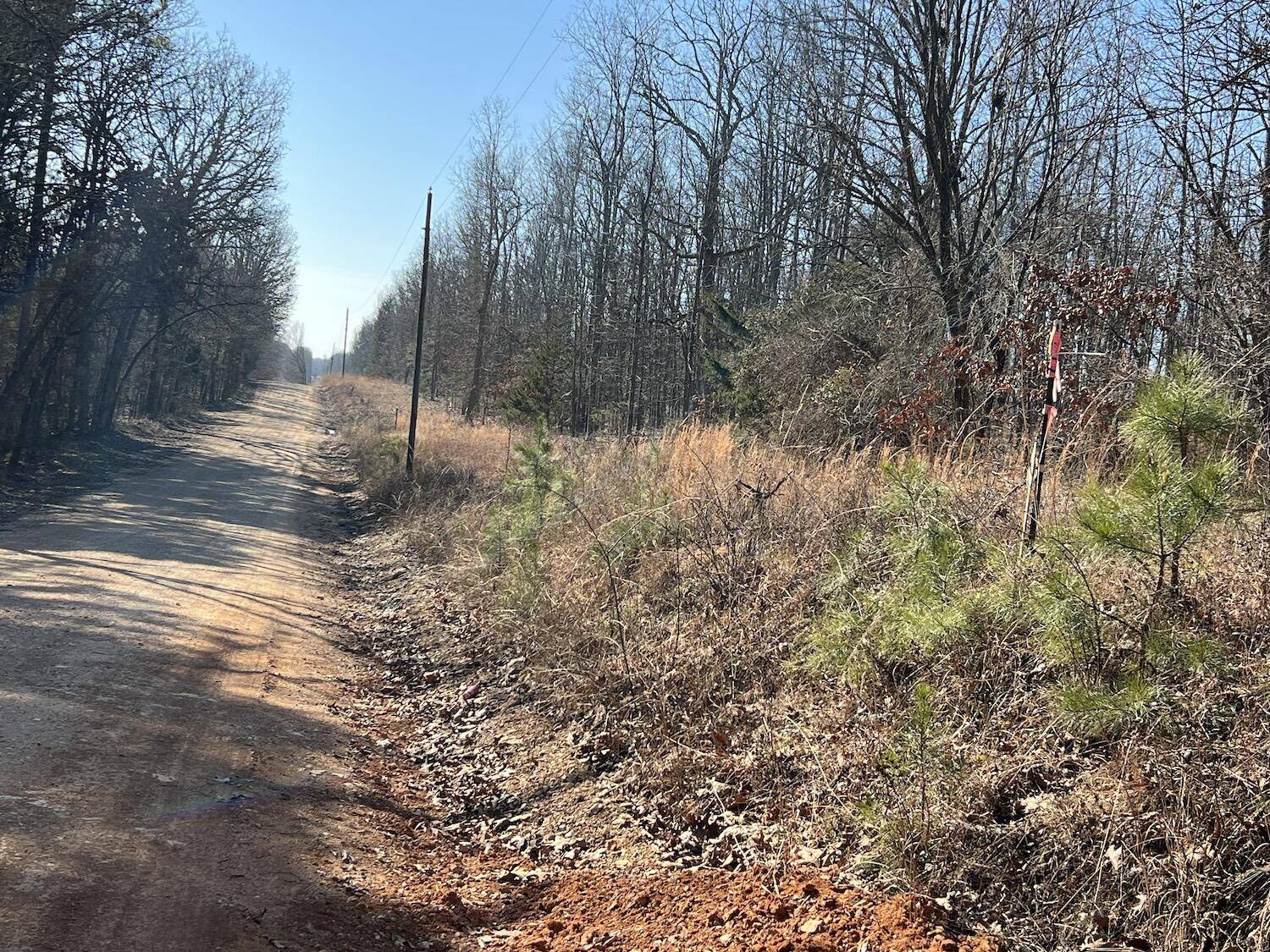 Alton, MO 65606,Lot 3 County Road 113