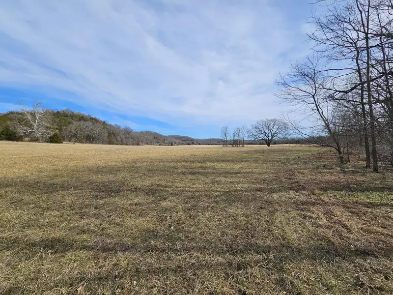 19.82 Ac Big Sugar Creek RD, Pineville, MO 64856
