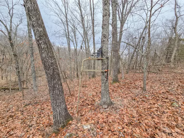Wheatland, MO 65779,000 State Highway W