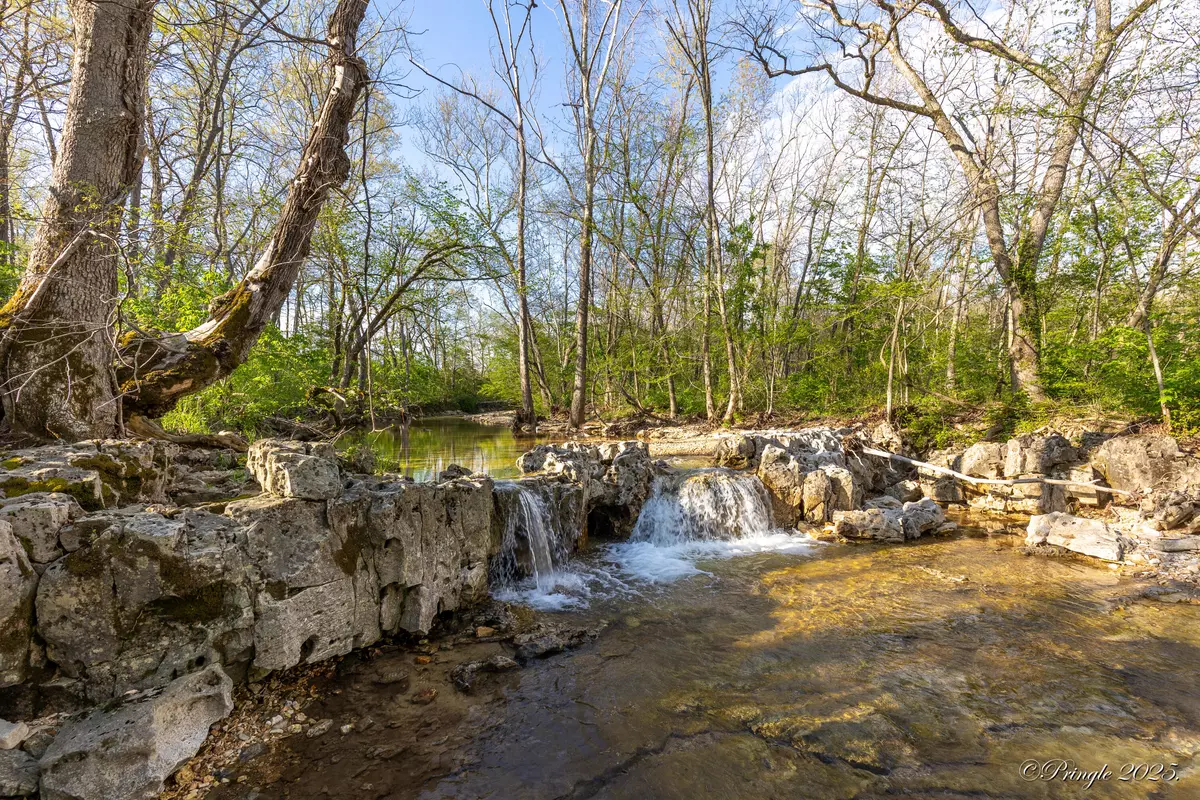 Ava, MO 65608,Rt. 1 Box 3530 County Road 14-531