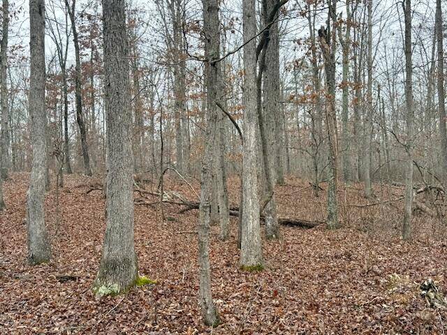 000 Forest Service Road, Hartshorn, MO 65479
