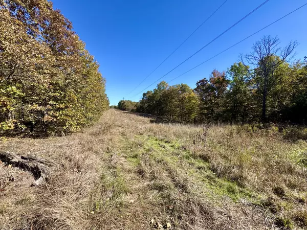 Granby, MO 64844,000 Raven RD