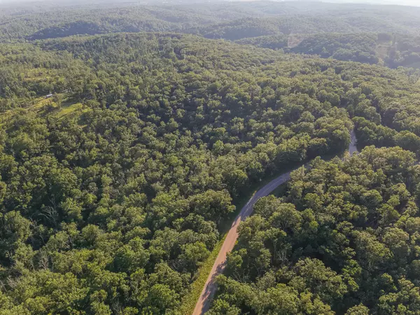 Willow Springs, MO 65793,Tbd State Hwy Y