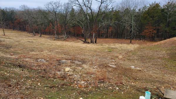000 Lot 176 Silver Sunset Lane, Kimberling City, MO 65686