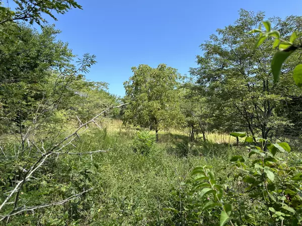 Ozark, MO 65721,Tract 1b Colombo RD