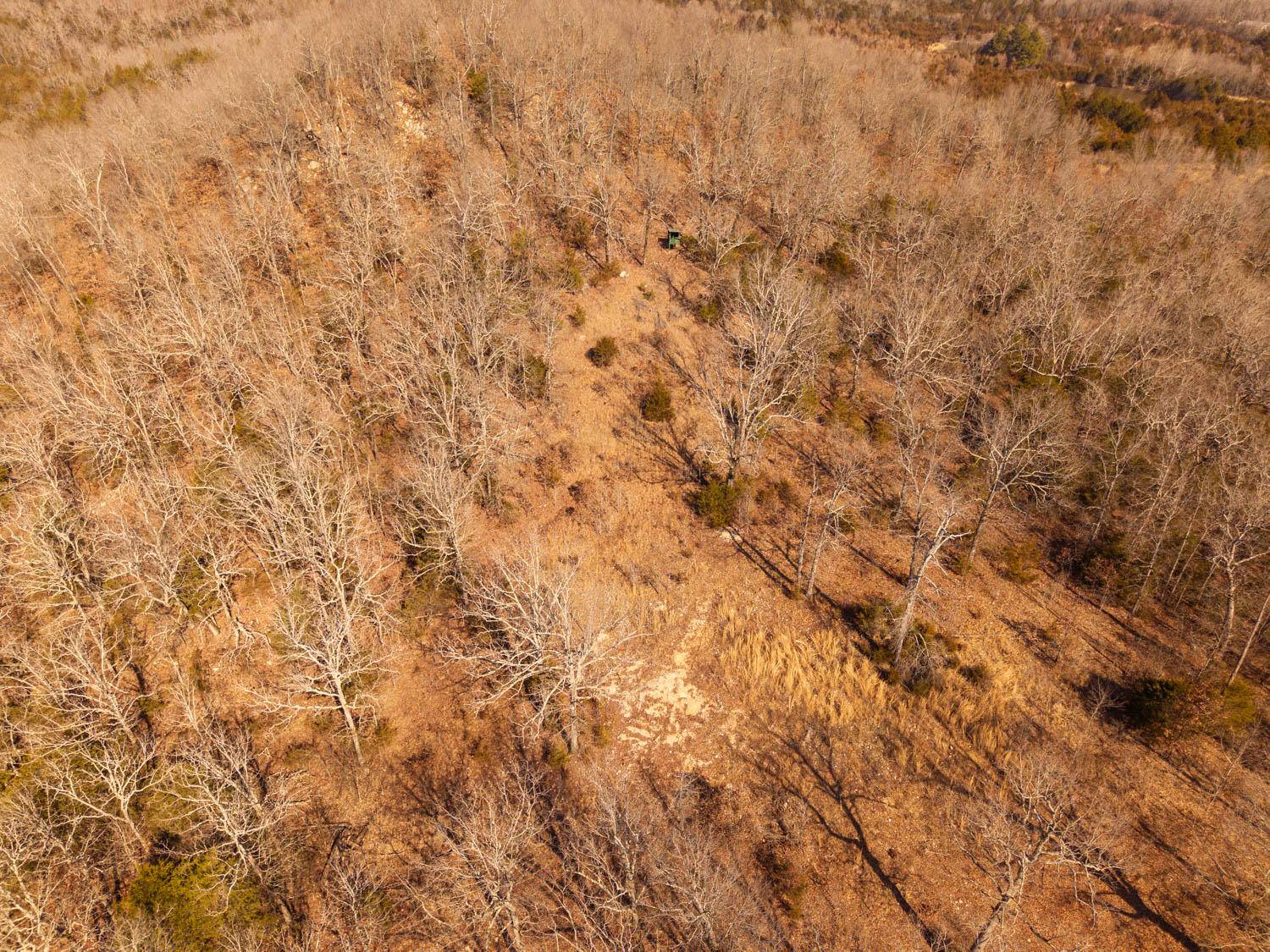 Salem, AR 72576,000 Berry Knob LN