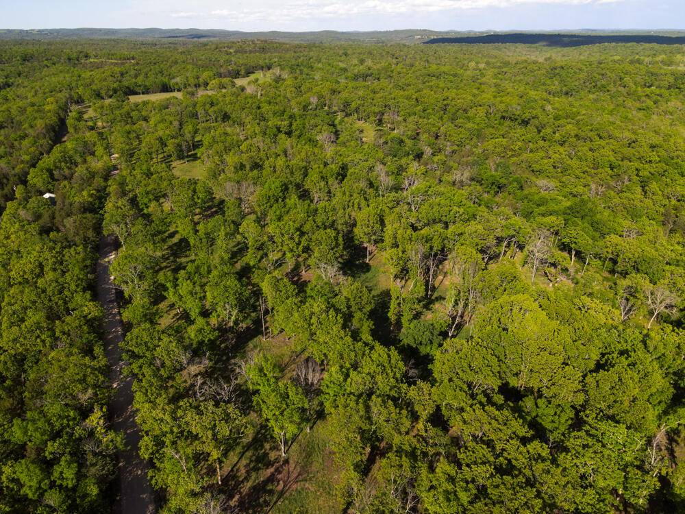 Cedarcreek, MO 65627,000 Barton RD