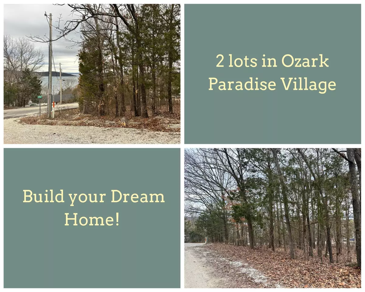 Ridgedale, MO 65739,126, 127 Mockingbird CT