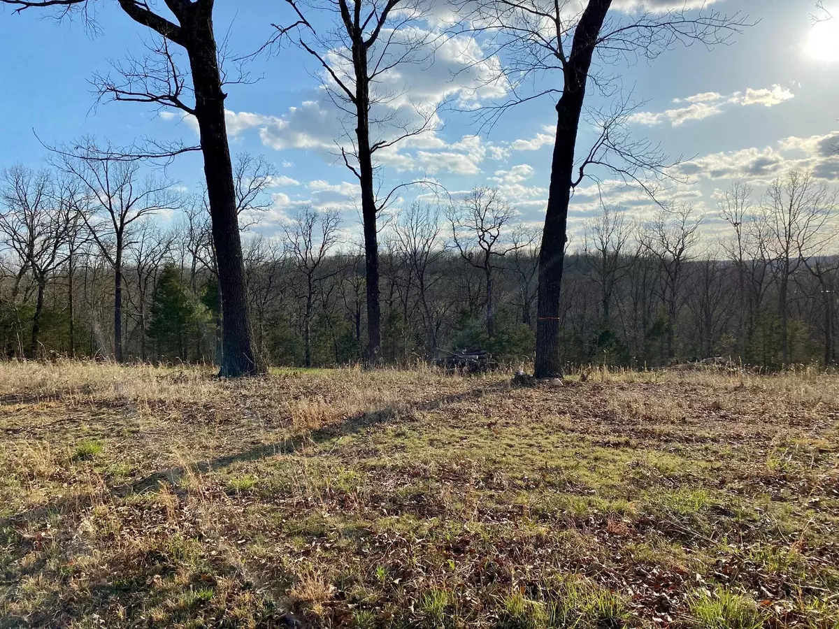 Strafford, MO 65757,0 Huckleberry RD