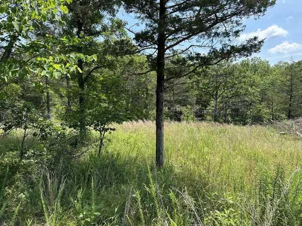 Cassville, MO 65625,Lot 12 Tribute Falls