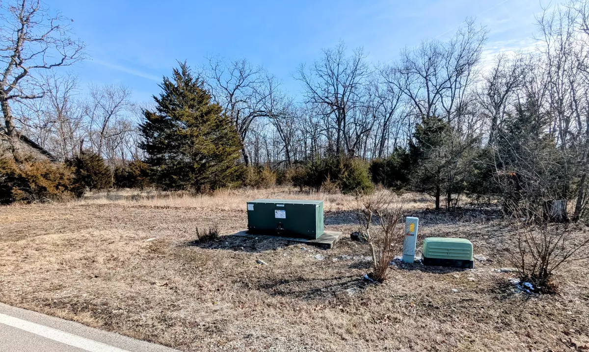 Branson West, MO 65737,Lot 202 Forest Lake DR