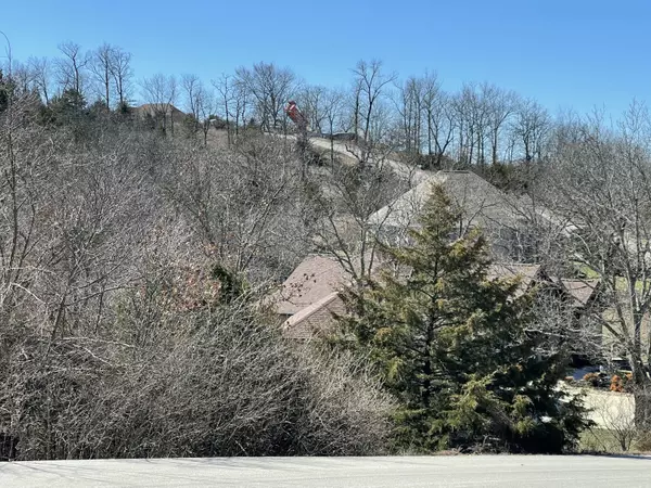 Branson West, MO 65737,108 Black Forest Lane