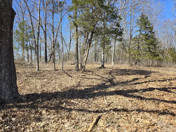 Salem, MO 65560,000 Highway 72