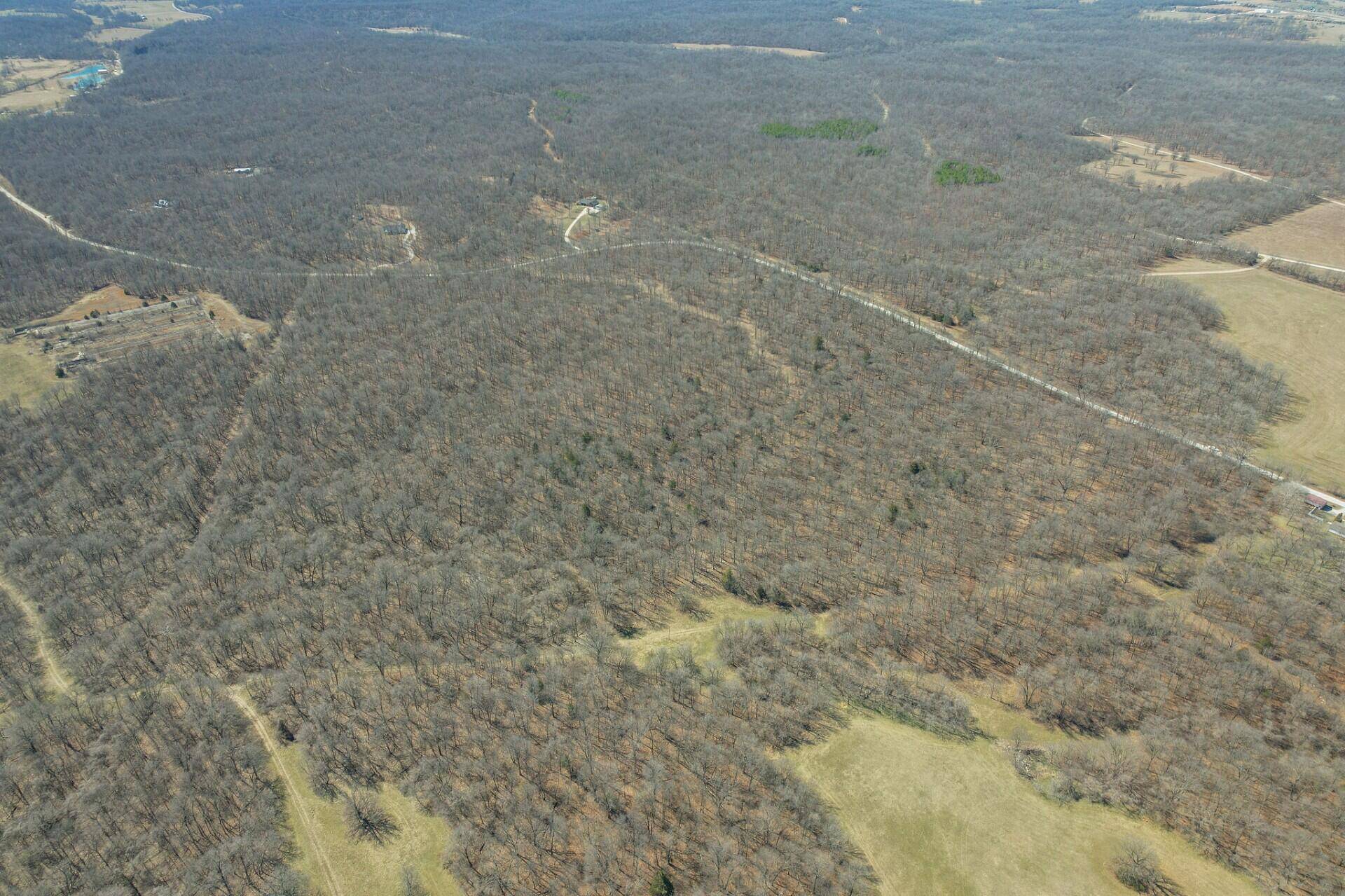 Neosho, MO 64850,Lot 6 Mink Drive (8.21 Ac)