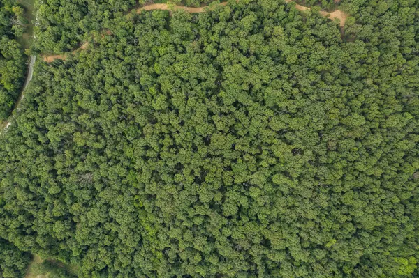 Neosho, MO 64850,Lot 9 Mink Drive (8.98 Ac)