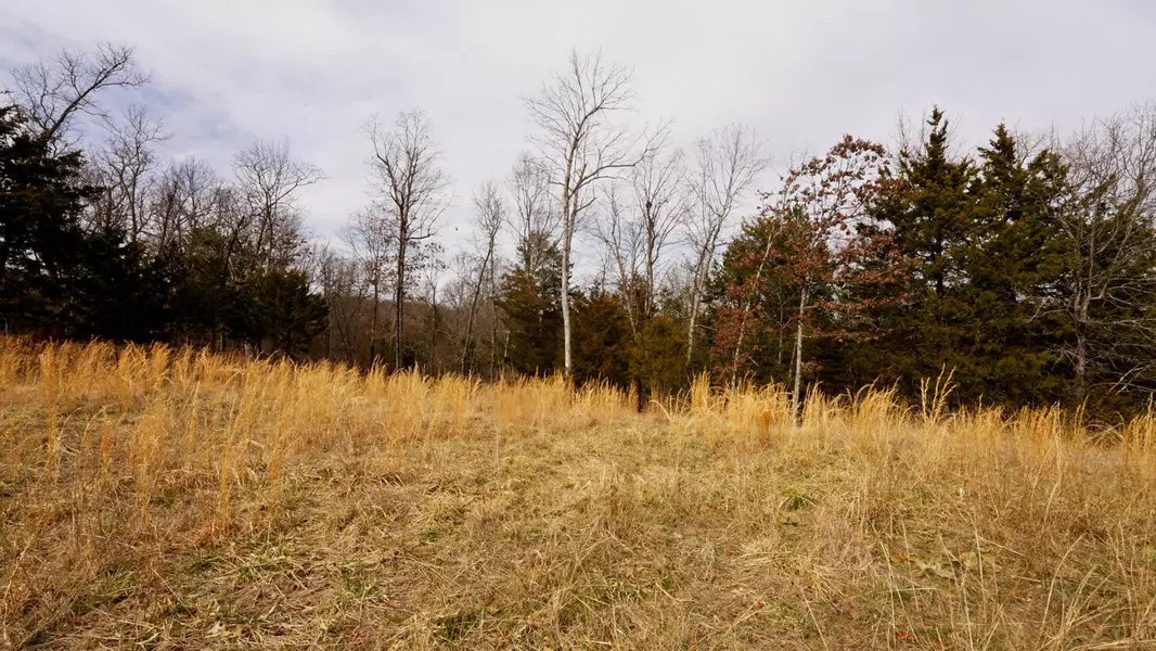 Lot 20 Oakridge Drive, Gepp, AR 72538