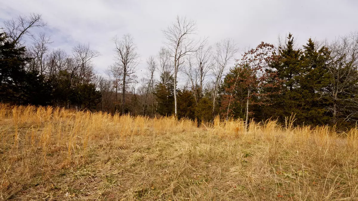 Gepp, AR 72538,Lot 20 Oakridge Drive