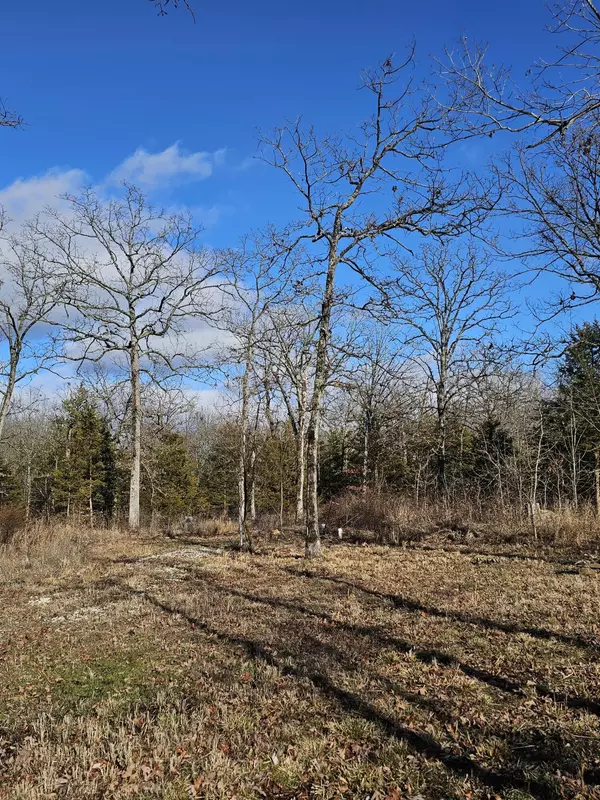 Wheatland, MO 65779,21721 Canyon DR