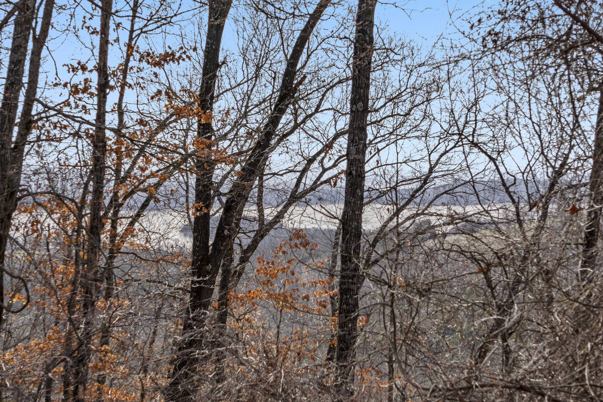 Reeds Spring, MO 65737,Tbd Lazarus RD