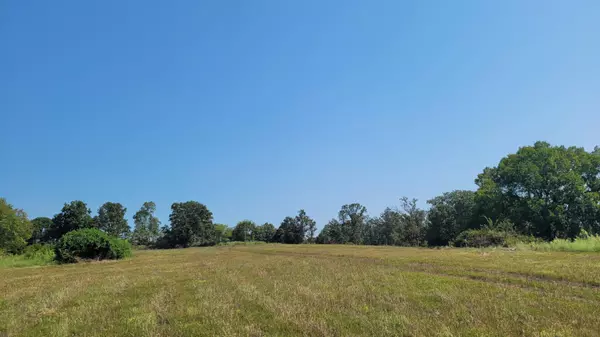 Buffalo, MO 65622,118 Indian Creek LOOP