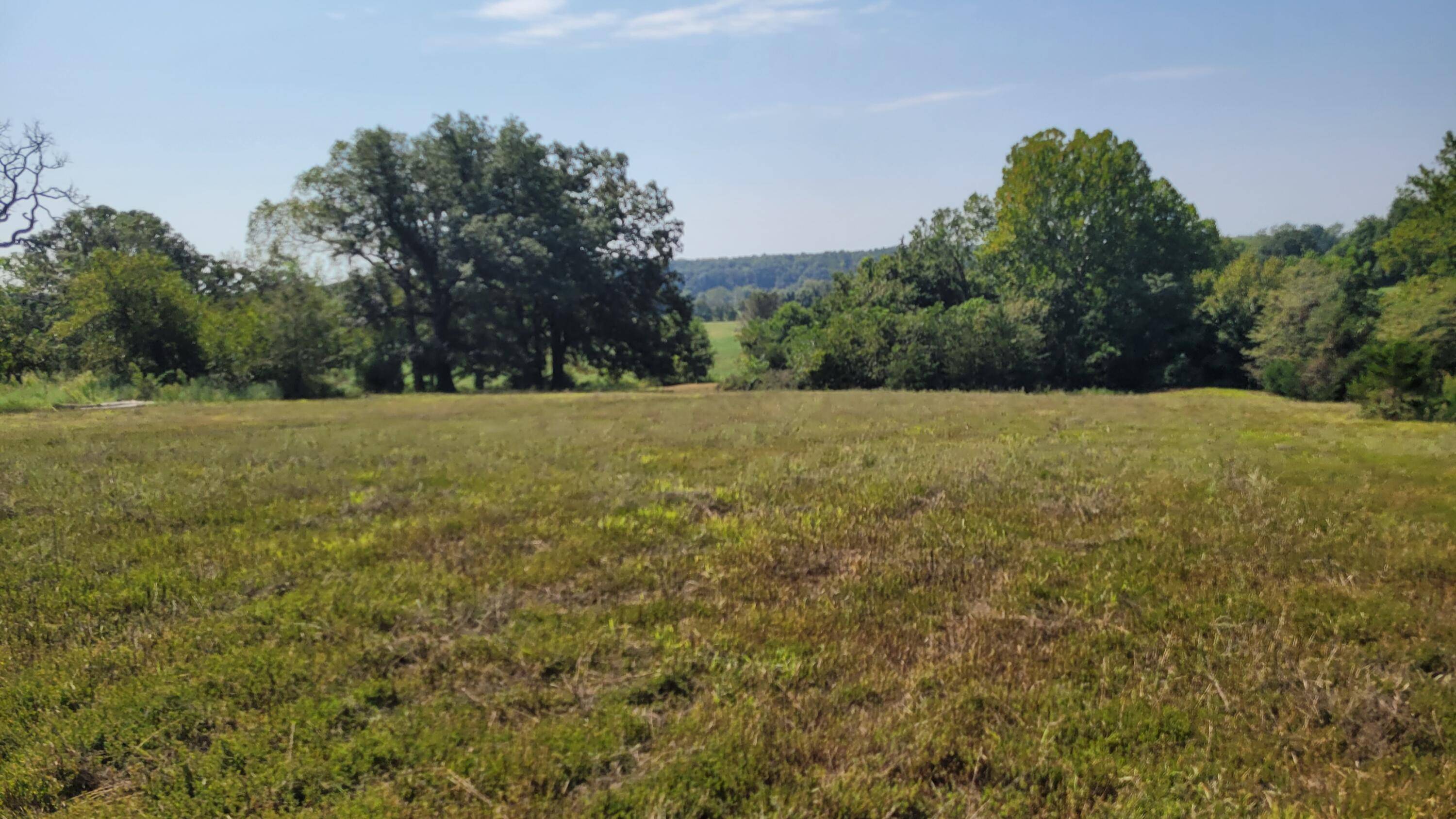 Buffalo, MO 65622,118 Indian Creek LOOP