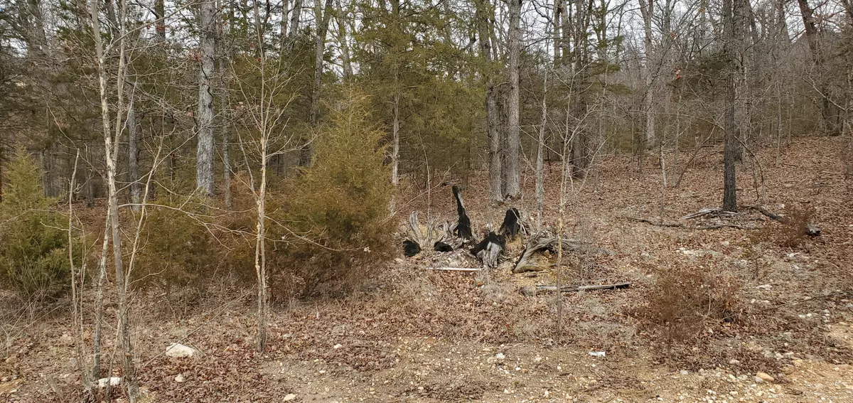 Kimberling City, MO 65686,000 Lot 97 Summer Breeze LN
