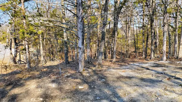 Kimberling City, MO 65686,000 Lot 95 Summer Breeze