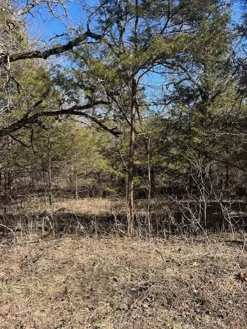 Ava, MO 65608,7789 W Co RD #T-561