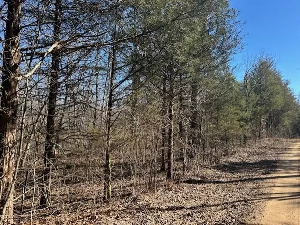 Ava, MO 65608,7789 E Co RD #T-561