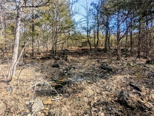 Branson West, MO 65737,Lt 409,446 Blue Springs RD