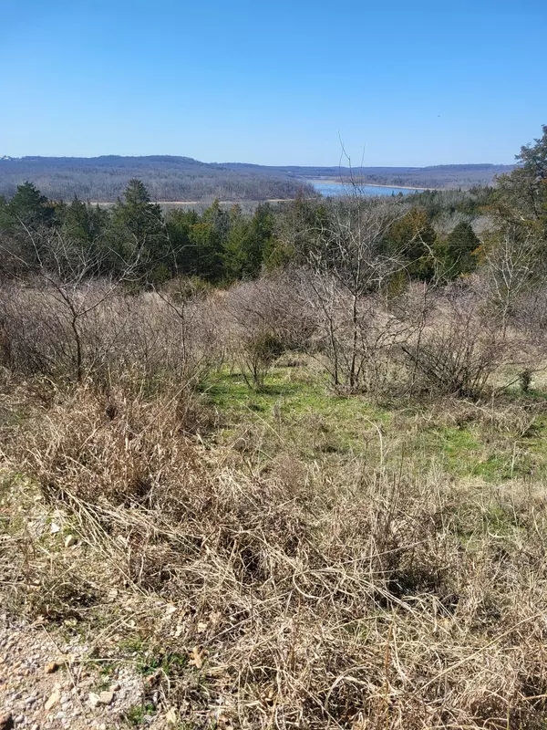 Greenfield, MO 65661,000 Cardinal Lane