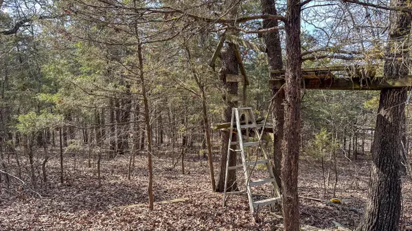 Ava, MO 65608,000 County Road 400-A #2