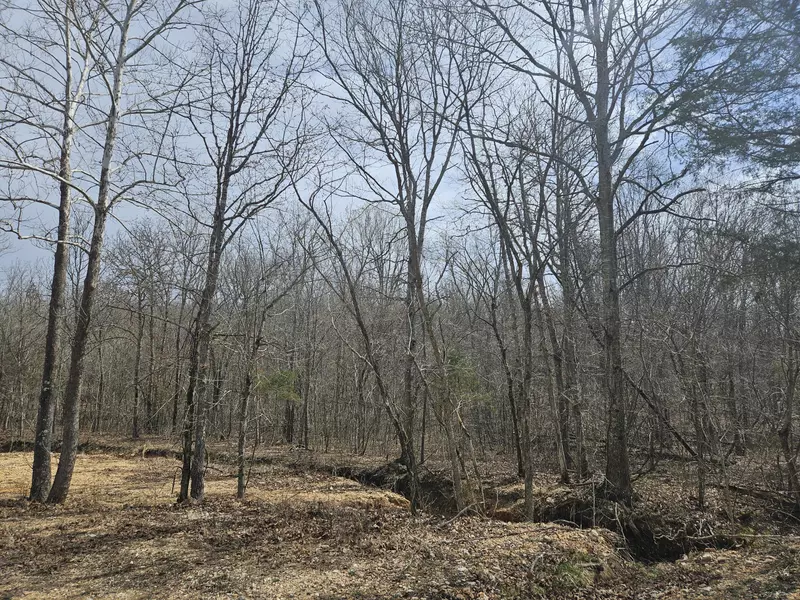 000 Co Road U-112, Macomb, MO 65702