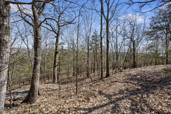 Branson, MO 65616,000 Map LN