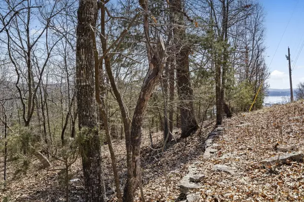Branson, MO 65616,000 Map LN