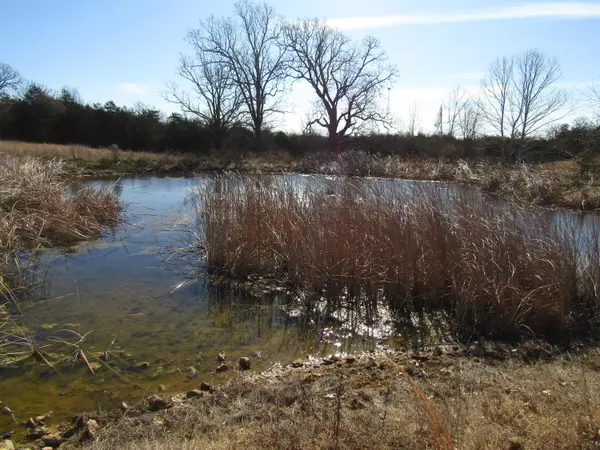 Theodosia, MO 65761,000 Highway 95