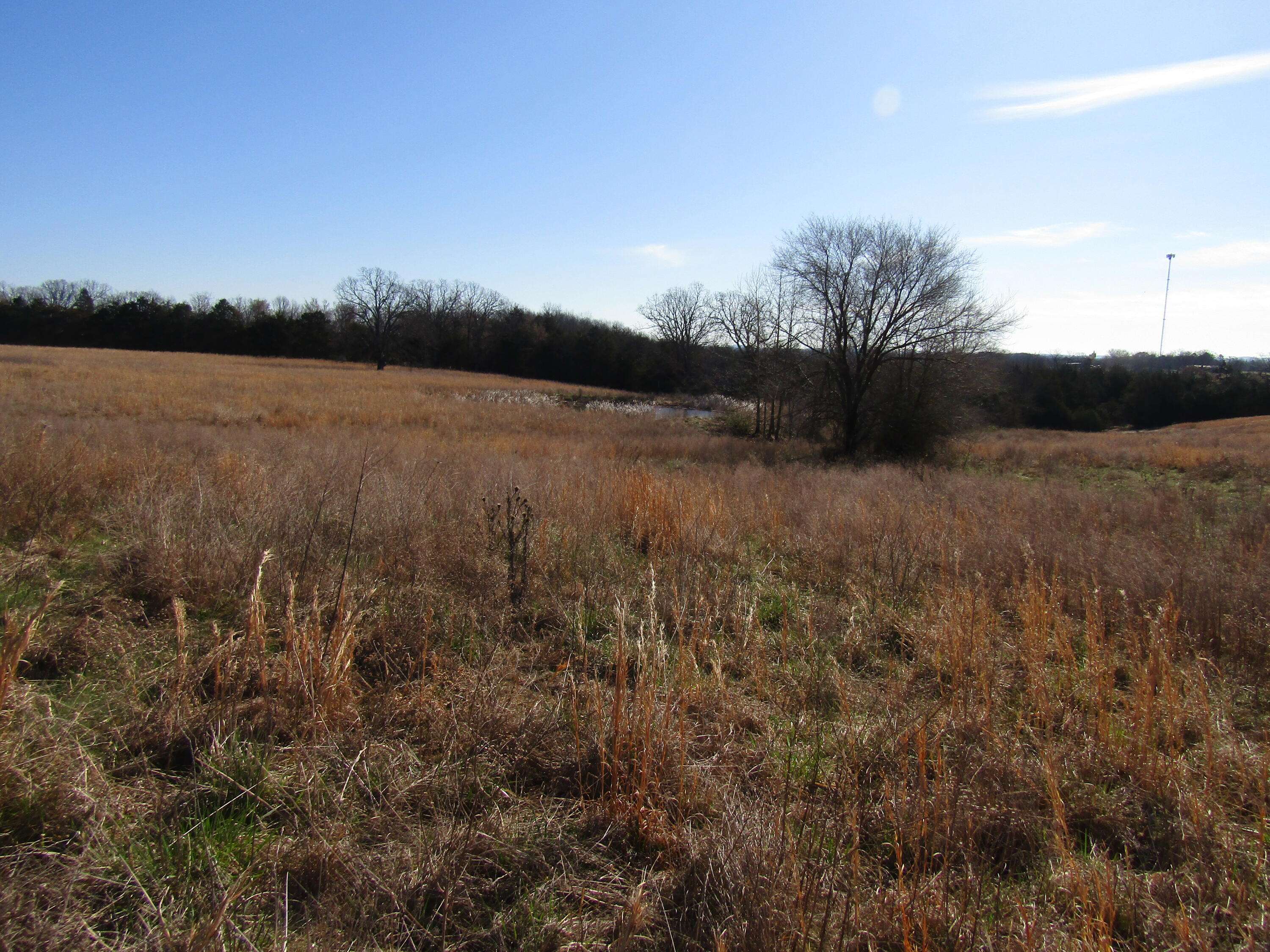 Theodosia, MO 65761,000 Highway 95