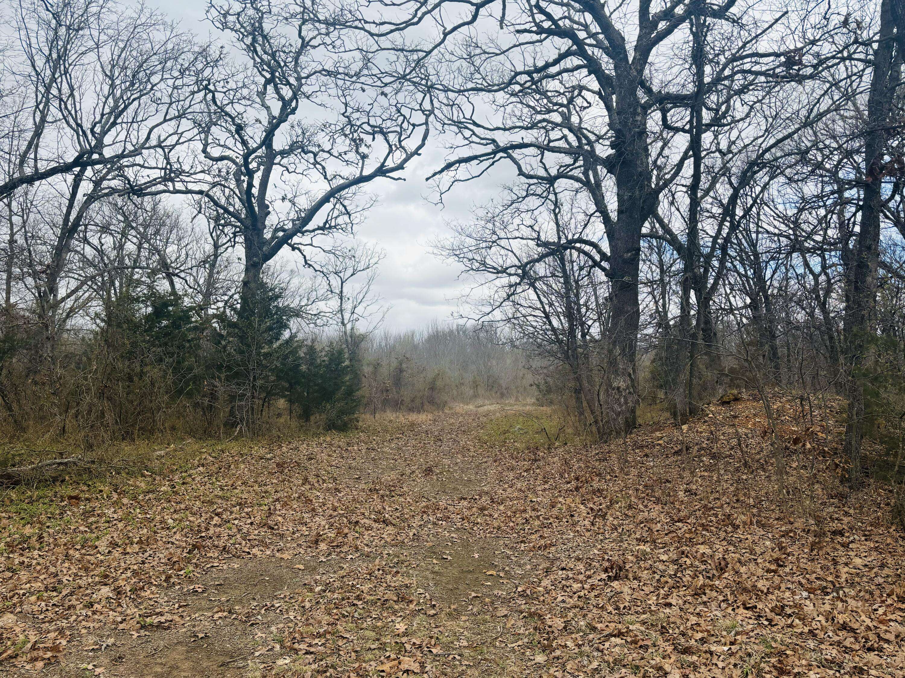 Neosho, MO 64850,Xxx Falcon Road