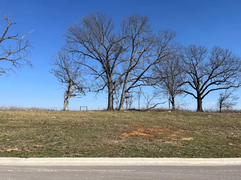 3708 N Marlin DR, Ozark, MO 65721