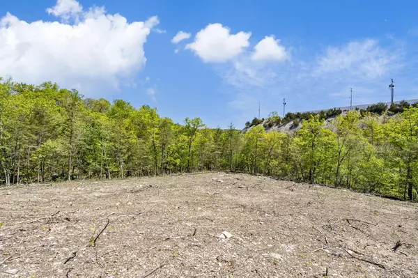 Branson, MO 65616,300 N Wildwood DR