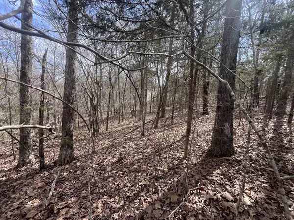 Cherokee Village, AR 72529,000 Boanna