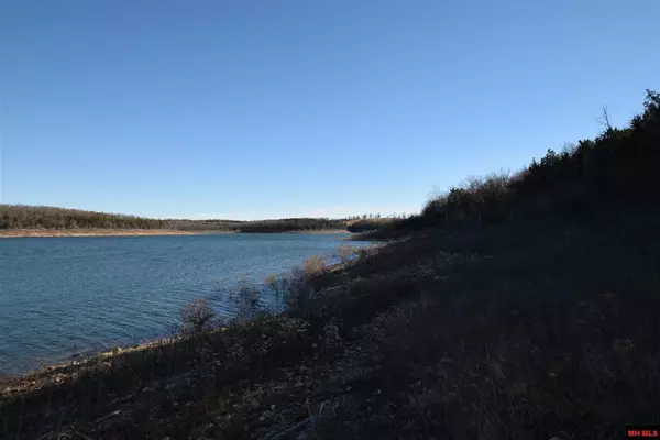 Protem, MO 65733,000 Lakeshore RD #Lot # 42