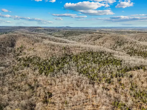 Gainesville, MO 65655,Tbd Co Rd 527