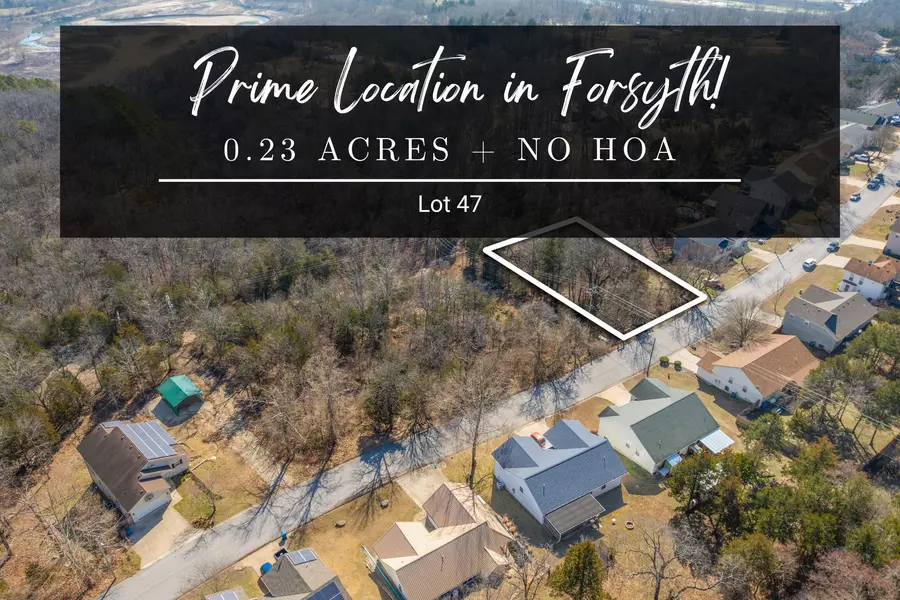 Lot 47 Eagle DR, Forsyth, MO 65653